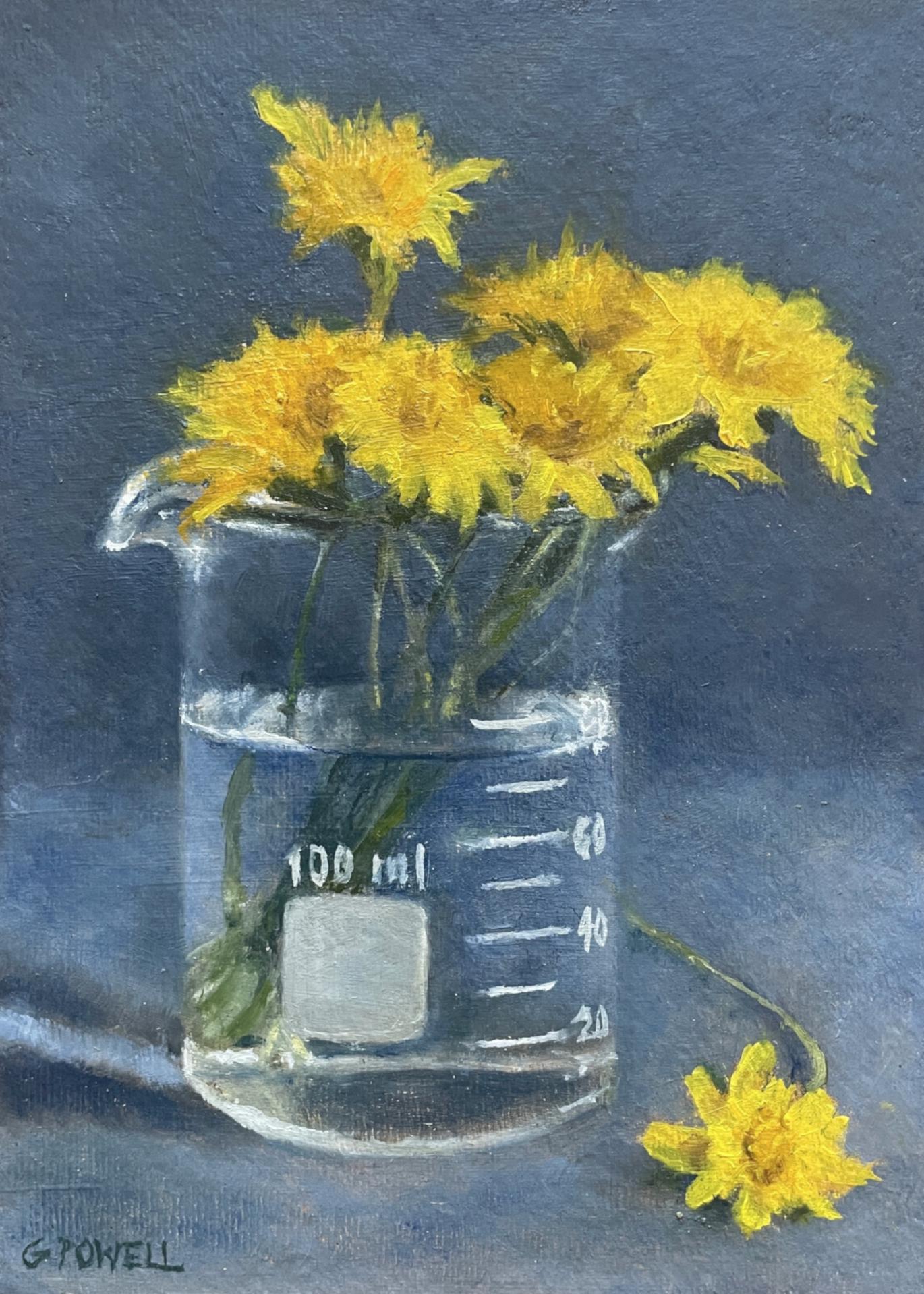 A small original oil painting - a still life of a close up of dandelions in a beaker. Painted with loose, expressive brushwork.