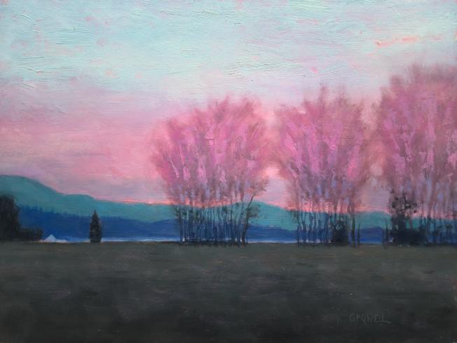 Poplars silhouetted against a vibrant pink sunset over Mary's Peak in the Willamette Valley.