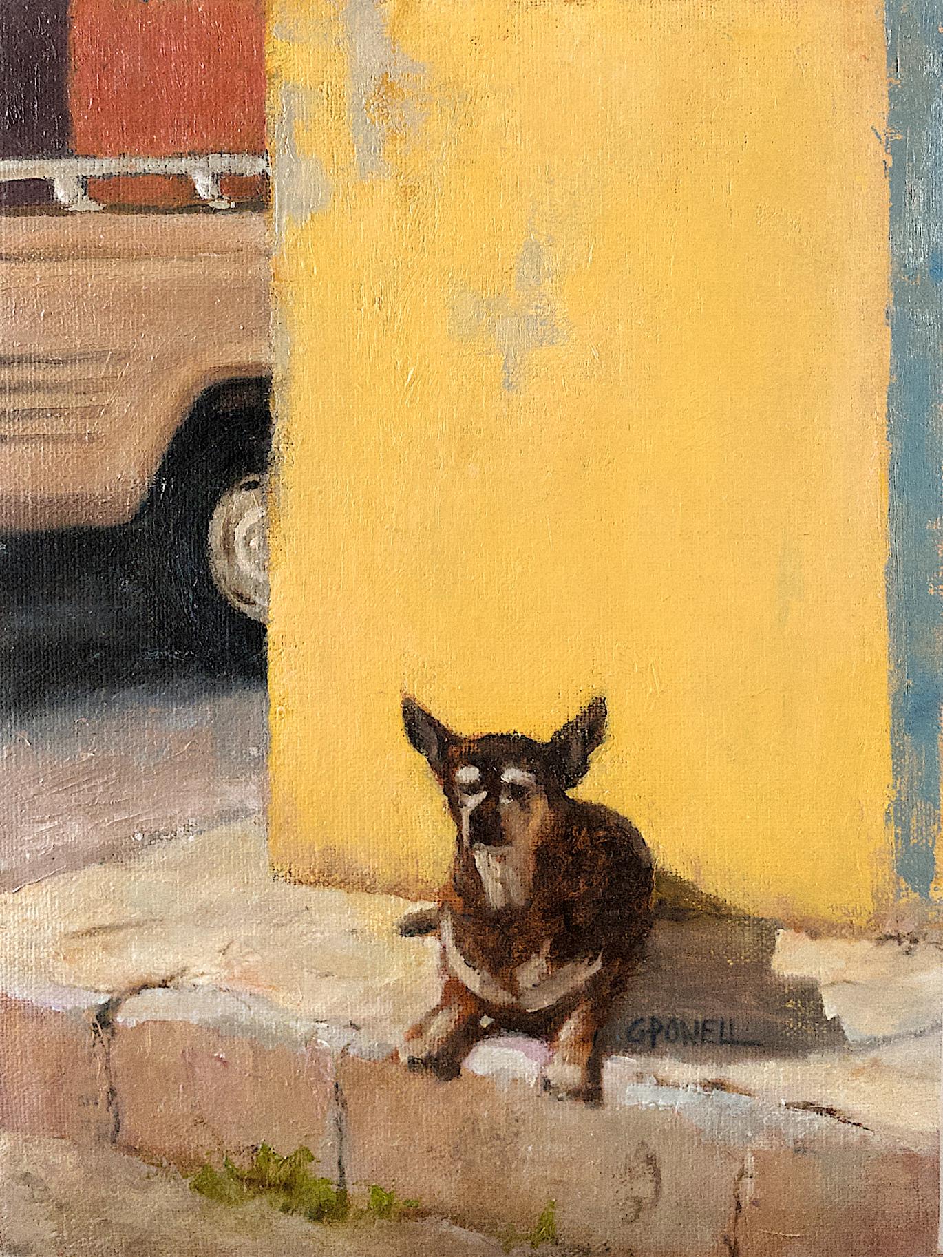 A small street dog lies on a curb against a yellow wall in Mexico. A pickup truck is passing by on the left.